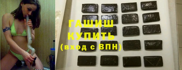 хмурый Алексин